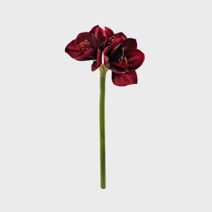 Amaryllis blomst i burgunder – 65 cm